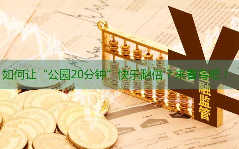 如何让“公园20分钟”快乐翻倍？来看鸟吧！缩略图