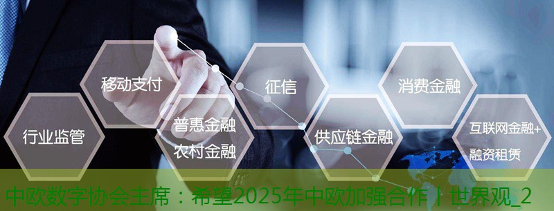 中欧数字协会主席：希望2025年中欧加强合作丨世界观_2缩略图